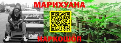 сатива Шебекино