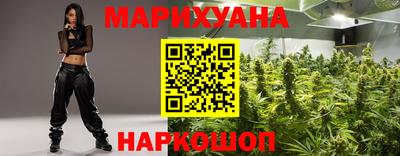 сатива Шебекино
