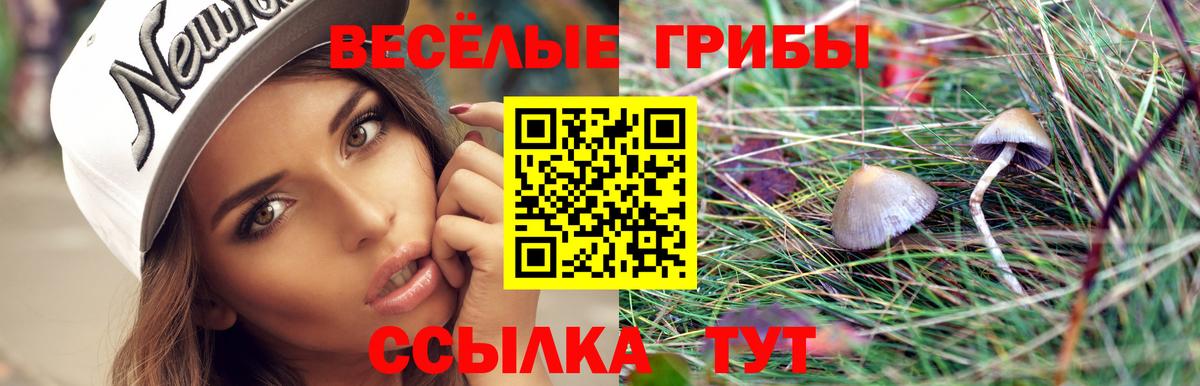 Галлюциногенные грибы Cubensis Бугуруслан