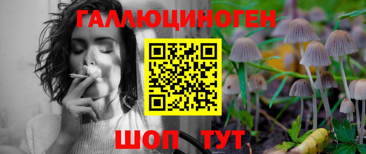 Псилоцибиновые грибы Psilocybe  Вход с VPN  Галлюциногенные грибы Cubensis  Бугуруслан 